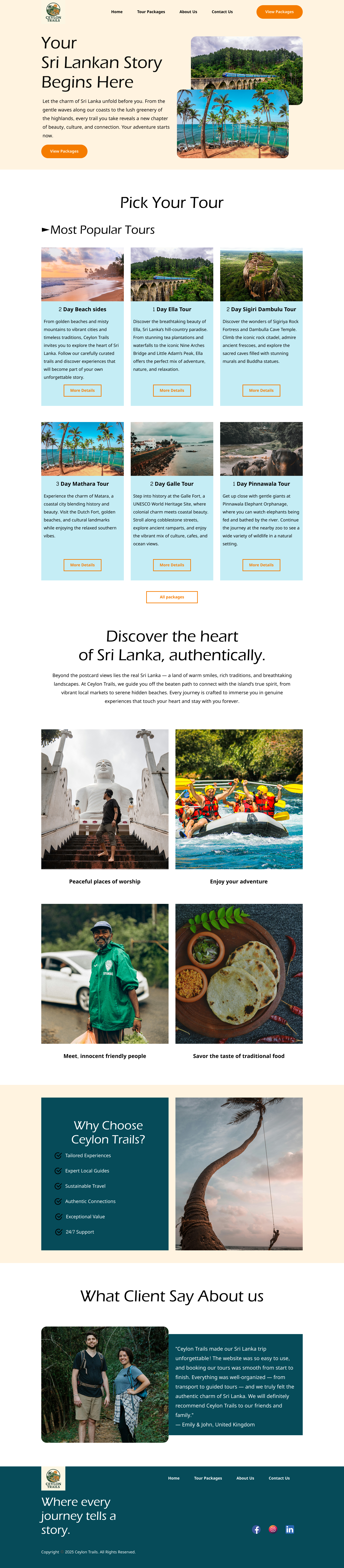 Travel Website Home Page